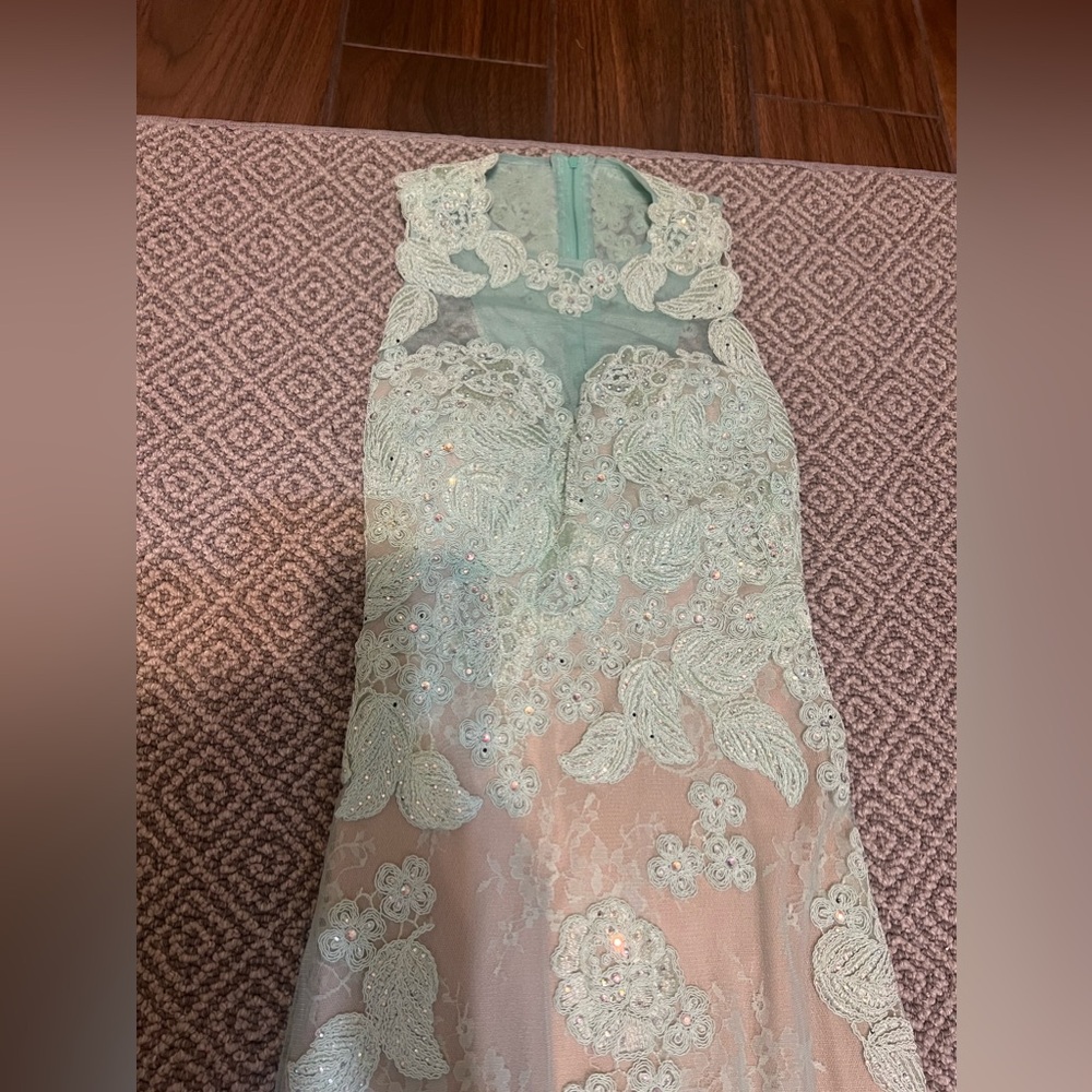 Gorgeous mermaid style dress